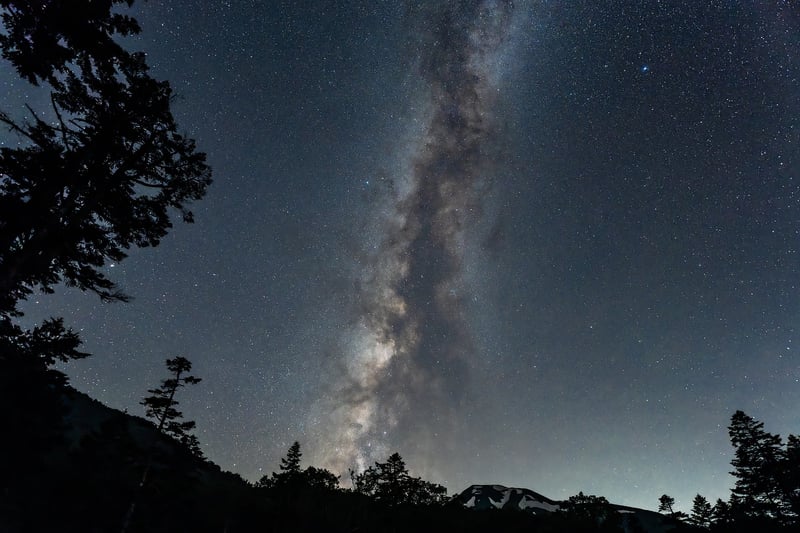 Cosmos